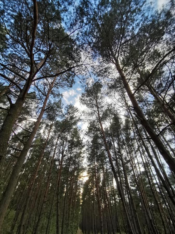 M&K Apartament Slomkowe Kapelusze - Sobieszewo, Wyspa Sobieszewska Гданск Екстериор снимка
